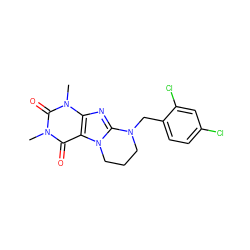 Cn1c(=O)c2c(nc3n2CCCN3Cc2ccc(Cl)cc2Cl)n(C)c1=O ZINC000028873948