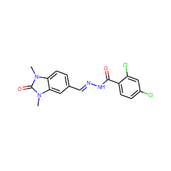 Cn1c(=O)n(C)c2cc(/C=N/NC(=O)c3ccc(Cl)cc3Cl)ccc21 ZINC000000979562