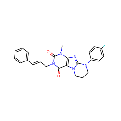 Cn1c(=O)n(C/C=C/c2ccccc2)c(=O)c2c1nc1n2CCCN1c1ccc(F)cc1 ZINC000008462869