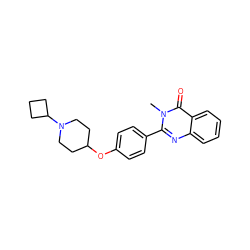 Cn1c(-c2ccc(OC3CCN(C4CCC4)CC3)cc2)nc2ccccc2c1=O ZINC000035942924