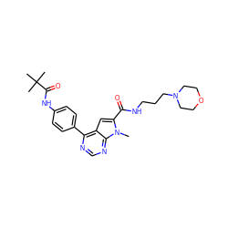 Cn1c(C(=O)NCCCN2CCOCC2)cc2c(-c3ccc(NC(=O)C(C)(C)C)cc3)ncnc21 ZINC000653853410