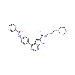 Cn1c(C(=O)NCCCN2CCOCC2)cc2c(-c3ccc(NC(=O)c4ccccc4)cc3)ncnc21 ZINC000653850144