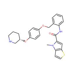 Cn1c(C(=O)Nc2ccccc2COc2ccc(O[C@H]3CCCNC3)cc2)cc2sccc21 ZINC001772628511