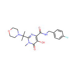 Cn1c(C(C)(C)N2CCOCC2)nc(C(=O)NCc2ccc(F)cc2)c(O)c1=O ZINC000040950543