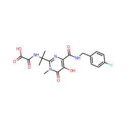 Cn1c(C(C)(C)NC(=O)C(=O)O)nc(C(=O)NCc2ccc(F)cc2)c(O)c1=O ZINC000040953979