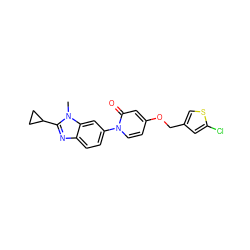 Cn1c(C2CC2)nc2ccc(-n3ccc(OCc4csc(Cl)c4)cc3=O)cc21 ZINC000224413252