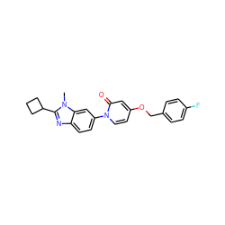 Cn1c(C2CCC2)nc2ccc(-n3ccc(OCc4ccc(F)cc4)cc3=O)cc21 ZINC000223471421