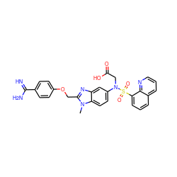 Cn1c(COc2ccc(C(=N)N)cc2)nc2cc(N(CC(=O)O)S(=O)(=O)c3cccc4cccnc34)ccc21 ZINC000006183371