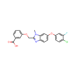 Cn1c(COc2cccc(C(=O)O)c2)nc2ccc(Oc3ccc(Cl)c(F)c3)cc21 ZINC000139764969