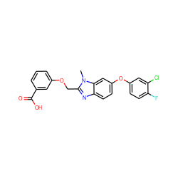 Cn1c(COc2cccc(C(=O)O)c2)nc2ccc(Oc3ccc(F)c(Cl)c3)cc21 ZINC000139765097