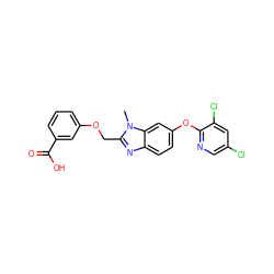 Cn1c(COc2cccc(C(=O)O)c2)nc2ccc(Oc3ncc(Cl)cc3Cl)cc21 ZINC000113977350