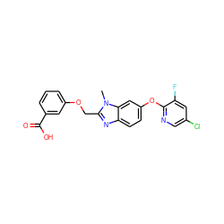 Cn1c(COc2cccc(C(=O)O)c2)nc2ccc(Oc3ncc(Cl)cc3F)cc21 ZINC000113976942