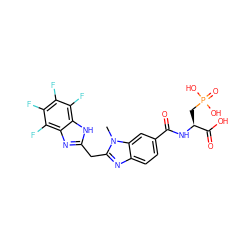 Cn1c(Cc2nc3c(F)c(F)c(F)c(F)c3[nH]2)nc2ccc(C(=O)N[C@@H](CP(=O)(O)O)C(=O)O)cc21 ZINC000003587886