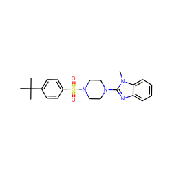 Cn1c(N2CCN(S(=O)(=O)c3ccc(C(C)(C)C)cc3)CC2)nc2ccccc21 ZINC000044443730