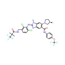 Cn1c(Nc2c(Cl)ccc(CNC(=O)C(C)(C)C(F)(F)F)c2Cl)nc2cc(C(=O)Nc3ccc(OC(F)(F)F)cc3)c(N3CC[C@@H](F)C3)cc21 ZINC000169701058