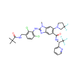 Cn1c(Nc2c(Cl)ccc(CNC(=O)C(C)(C)C)c2Cl)nc2cc(C(=O)N[C@@H](c3ccccn3)C(F)(F)F)c(N3CCC(F)(F)C3)cc21 ZINC000169700904