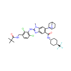 Cn1c(Nc2c(Cl)ccc(CNC(=O)C(C)(C)C)c2Cl)nc2cc(C(=O)N[C@H]3CC[C@H](C(F)(F)F)CC3)c(N3CC4CCC3CC4)cc21 ZINC000261132630