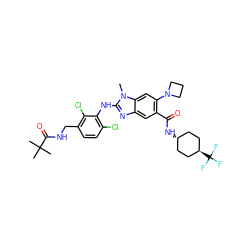 Cn1c(Nc2c(Cl)ccc(CNC(=O)C(C)(C)C)c2Cl)nc2cc(C(=O)N[C@H]3CC[C@H](C(F)(F)F)CC3)c(N3CCC3)cc21 ZINC000261181398