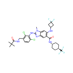 Cn1c(Nc2c(Cl)ccc(CNC(=O)C(C)(C)C)c2Cl)nc2cc(C(=O)N[C@H]3CC[C@H](C(F)(F)F)CC3)c(NC3CC(F)(F)C3)cc21 ZINC000261133907