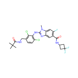 Cn1c(Nc2c(Cl)ccc(CNC(=O)C(C)(C)C)c2Cl)nc2cc(C(=O)NC3CC(F)(F)C3)c(F)cc21 ZINC000169703069