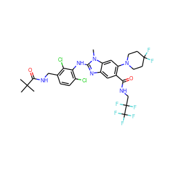 Cn1c(Nc2c(Cl)ccc(CNC(=O)C(C)(C)C)c2Cl)nc2cc(C(=O)NCC(F)(F)C(F)(F)F)c(N3CCC(F)(F)CC3)cc21 ZINC000169700945