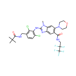 Cn1c(Nc2c(Cl)ccc(CNC(=O)C(C)(C)C)c2Cl)nc2cc(C(=O)NCC(F)(F)C(F)(F)F)c(N3CCOCC3)cc21 ZINC000169700943