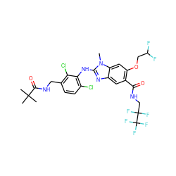 Cn1c(Nc2c(Cl)ccc(CNC(=O)C(C)(C)C)c2Cl)nc2cc(C(=O)NCC(F)(F)C(F)(F)F)c(OCC(F)F)cc21 ZINC000169703092