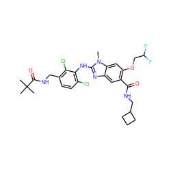 Cn1c(Nc2c(Cl)ccc(CNC(=O)C(C)(C)C)c2Cl)nc2cc(C(=O)NCC3CCC3)c(OCC(F)F)cc21 ZINC000169703104