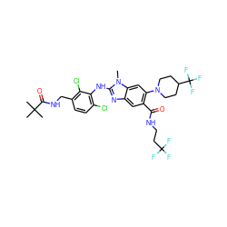 Cn1c(Nc2c(Cl)ccc(CNC(=O)C(C)(C)C)c2Cl)nc2cc(C(=O)NCCC(F)(F)F)c(N3CCC(C(F)(F)F)CC3)cc21 ZINC000169700929