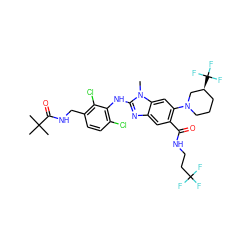 Cn1c(Nc2c(Cl)ccc(CNC(=O)C(C)(C)C)c2Cl)nc2cc(C(=O)NCCC(F)(F)F)c(N3CCC[C@H](C(F)(F)F)C3)cc21 ZINC000165376941