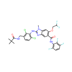 Cn1c(Nc2c(Cl)ccc(CNC(=O)C(C)(C)C)c2Cl)nc2cc(C(=O)Nc3c(F)ccc(F)c3F)c(OCC(F)F)cc21 ZINC000169703151