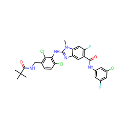 Cn1c(Nc2c(Cl)ccc(CNC(=O)C(C)(C)C)c2Cl)nc2cc(C(=O)Nc3cc(F)cc(Cl)c3)c(F)cc21 ZINC000169703072