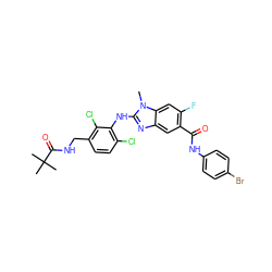 Cn1c(Nc2c(Cl)ccc(CNC(=O)C(C)(C)C)c2Cl)nc2cc(C(=O)Nc3ccc(Br)cc3)c(F)cc21 ZINC000169703057