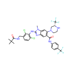 Cn1c(Nc2c(Cl)ccc(CNC(=O)C(C)(C)C)c2Cl)nc2cc(C(=O)Nc3ccc(C(F)(F)F)cc3)c(N3CCN[C@@H](C(F)(F)F)C3)cc21 ZINC000169701006