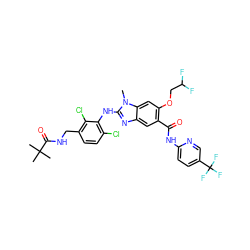 Cn1c(Nc2c(Cl)ccc(CNC(=O)C(C)(C)C)c2Cl)nc2cc(C(=O)Nc3ccc(C(F)(F)F)cn3)c(OCC(F)F)cc21 ZINC000169703127