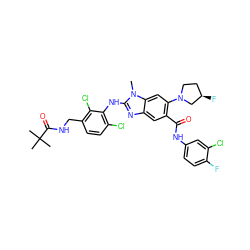 Cn1c(Nc2c(Cl)ccc(CNC(=O)C(C)(C)C)c2Cl)nc2cc(C(=O)Nc3ccc(F)c(Cl)c3)c(N3CC[C@@H](F)C3)cc21 ZINC000169701064