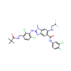 Cn1c(Nc2c(Cl)ccc(CNC(=O)C(C)(C)C)c2Cl)nc2cc(C(=O)Nc3ccc(F)c(Cl)c3)c(NCC(F)F)cc21 ZINC000169700883