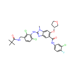 Cn1c(Nc2c(Cl)ccc(CNC(=O)C(C)(C)C)c2Cl)nc2cc(C(=O)Nc3ccc(F)c(Cl)c3)c(O[C@@H]3CCOC3)cc21 ZINC000169703154