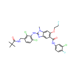 Cn1c(Nc2c(Cl)ccc(CNC(=O)C(C)(C)C)c2Cl)nc2cc(C(=O)Nc3ccc(F)c(Cl)c3)c(OCCF)cc21 ZINC000169703152