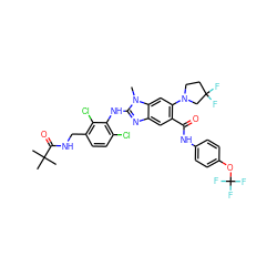 Cn1c(Nc2c(Cl)ccc(CNC(=O)C(C)(C)C)c2Cl)nc2cc(C(=O)Nc3ccc(OC(F)(F)F)cc3)c(N3CCC(F)(F)C3)cc21 ZINC000165392751