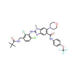 Cn1c(Nc2c(Cl)ccc(CNC(=O)C(C)(C)C)c2Cl)nc2cc(C(=O)Nc3ccc(OC(F)(F)F)cc3)c(N3CCOCC3)cc21 ZINC000169701022