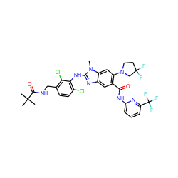 Cn1c(Nc2c(Cl)ccc(CNC(=O)C(C)(C)C)c2Cl)nc2cc(C(=O)Nc3cccc(C(F)(F)F)n3)c(N3CCC(F)(F)C3)cc21 ZINC000169700915