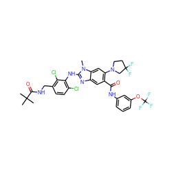 Cn1c(Nc2c(Cl)ccc(CNC(=O)C(C)(C)C)c2Cl)nc2cc(C(=O)Nc3cccc(OC(F)(F)F)c3)c(N3CCC(F)(F)C3)cc21 ZINC000169700908