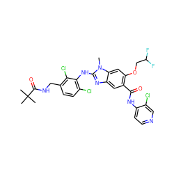 Cn1c(Nc2c(Cl)ccc(CNC(=O)C(C)(C)C)c2Cl)nc2cc(C(=O)Nc3ccncc3Cl)c(OCC(F)F)cc21 ZINC000169703133