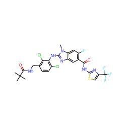 Cn1c(Nc2c(Cl)ccc(CNC(=O)C(C)(C)C)c2Cl)nc2cc(C(=O)Nc3nc(C(F)(F)F)cs3)c(F)cc21 ZINC000169703138