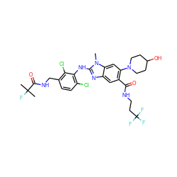 Cn1c(Nc2c(Cl)ccc(CNC(=O)C(C)(C)F)c2Cl)nc2cc(C(=O)NCCC(F)(F)F)c(N3CCC(O)CC3)cc21 ZINC000169701027