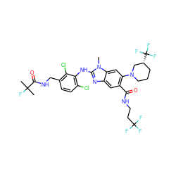 Cn1c(Nc2c(Cl)ccc(CNC(=O)C(C)(C)F)c2Cl)nc2cc(C(=O)NCCC(F)(F)F)c(N3CCC[C@@H](C(F)(F)F)C3)cc21 ZINC000169701029