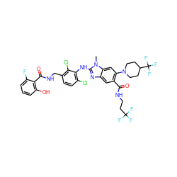 Cn1c(Nc2c(Cl)ccc(CNC(=O)c3c(O)cccc3F)c2Cl)nc2cc(C(=O)NCCC(F)(F)F)c(N3CCC(C(F)(F)F)CC3)cc21 ZINC000169701047