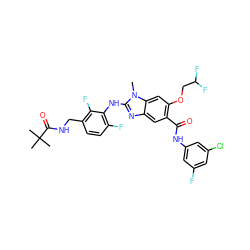 Cn1c(Nc2c(F)ccc(CNC(=O)C(C)(C)C)c2F)nc2cc(C(=O)Nc3cc(F)cc(Cl)c3)c(OCC(F)F)cc21 ZINC000169703137