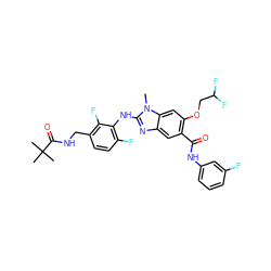 Cn1c(Nc2c(F)ccc(CNC(=O)C(C)(C)C)c2F)nc2cc(C(=O)Nc3cccc(F)c3)c(OCC(F)F)cc21 ZINC000169703139